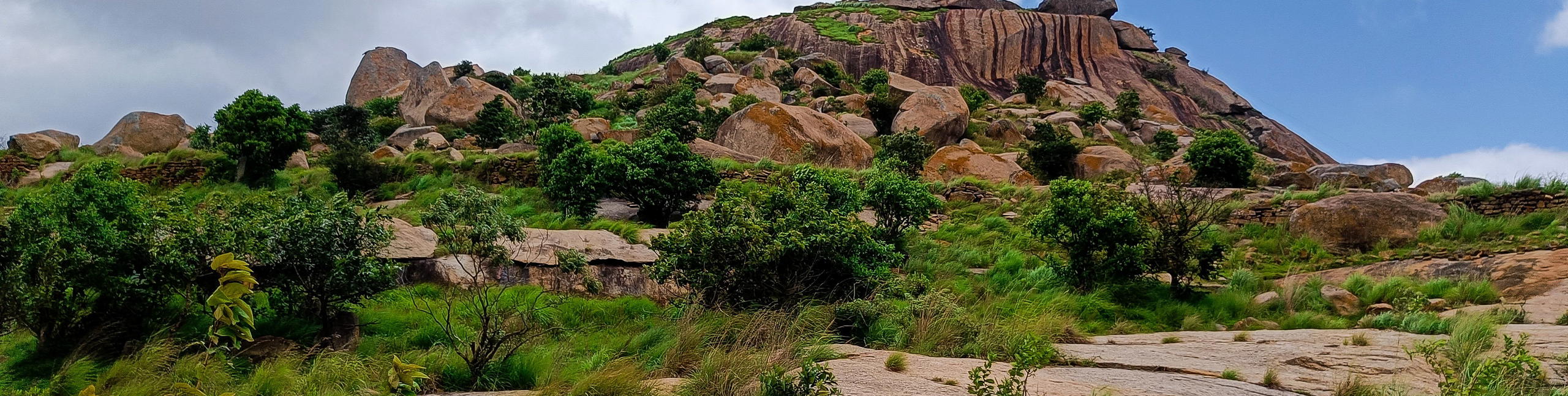 Minchukallu Betta Day Trek - Tour