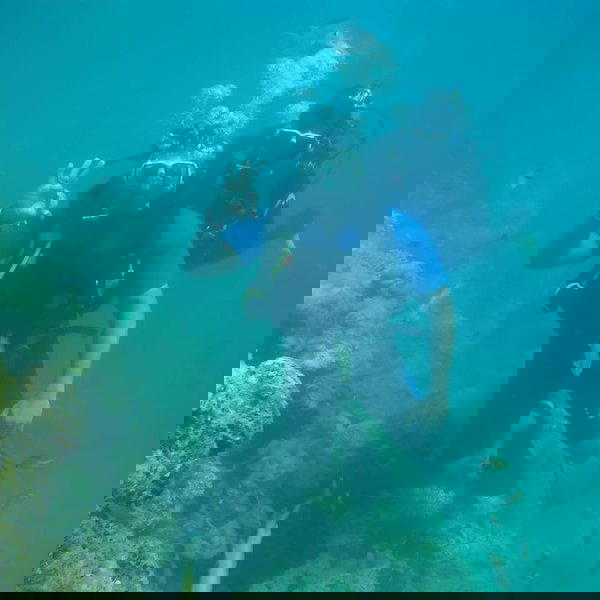 Scuba Diving - Open Water Course | Netrani - Tour