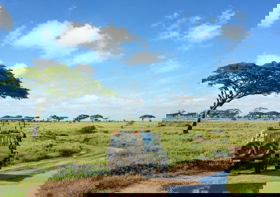 Tanzania Safari & Zanzibar Beach Holiday - Tour