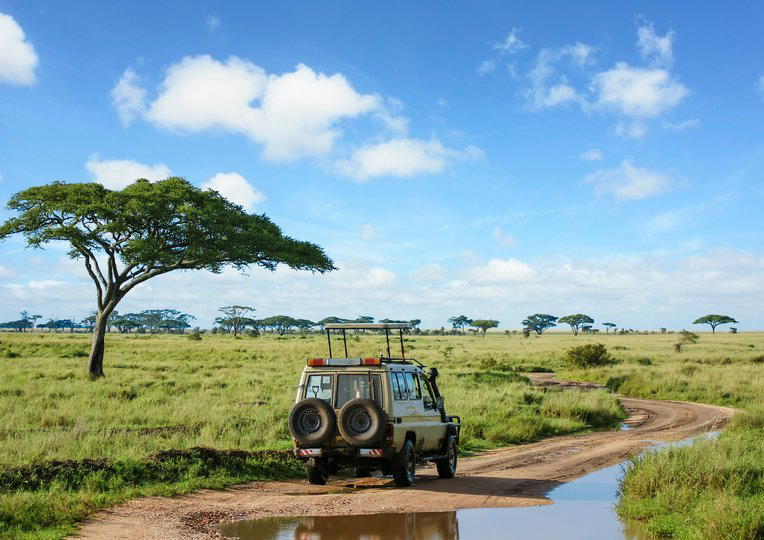 Tanzania Safari & Zanzibar Beach Holiday - Tour