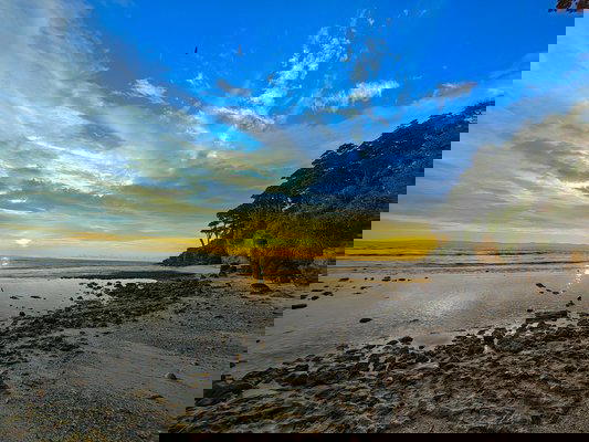 Andaman Group Tour - 2026 - Tour