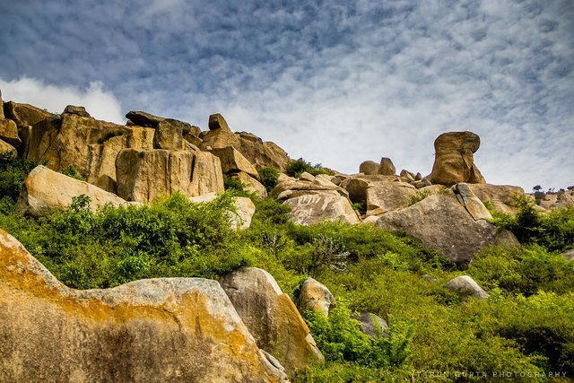 Early Morning Treks - Collection