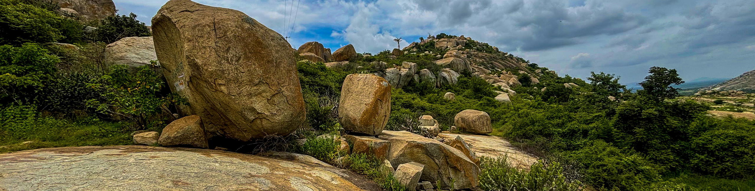 Avani Betta Sunset Trek - Tour