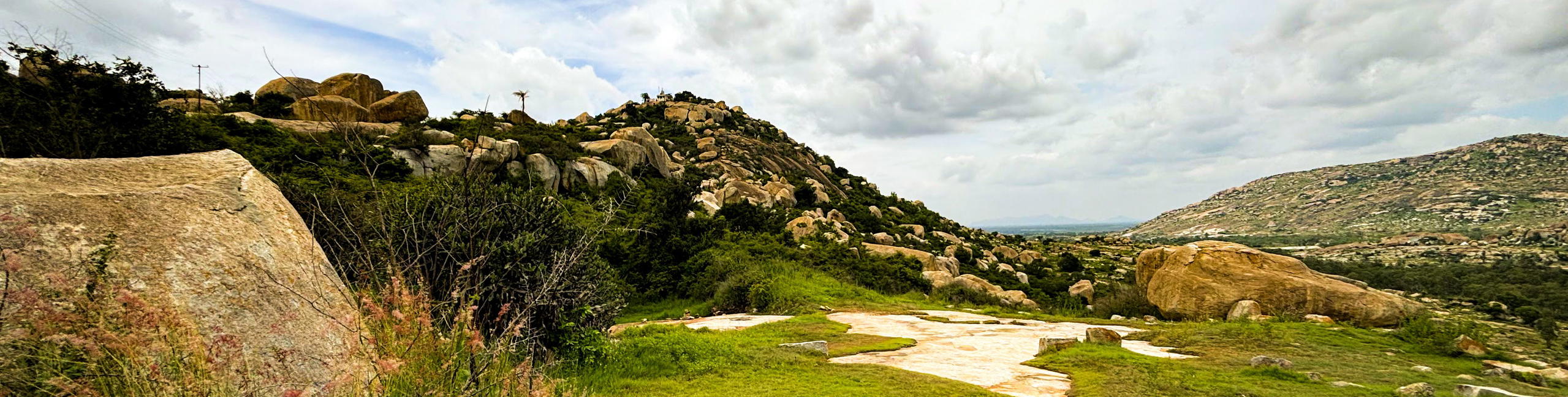 Avani Betta Morning Trek - Tour