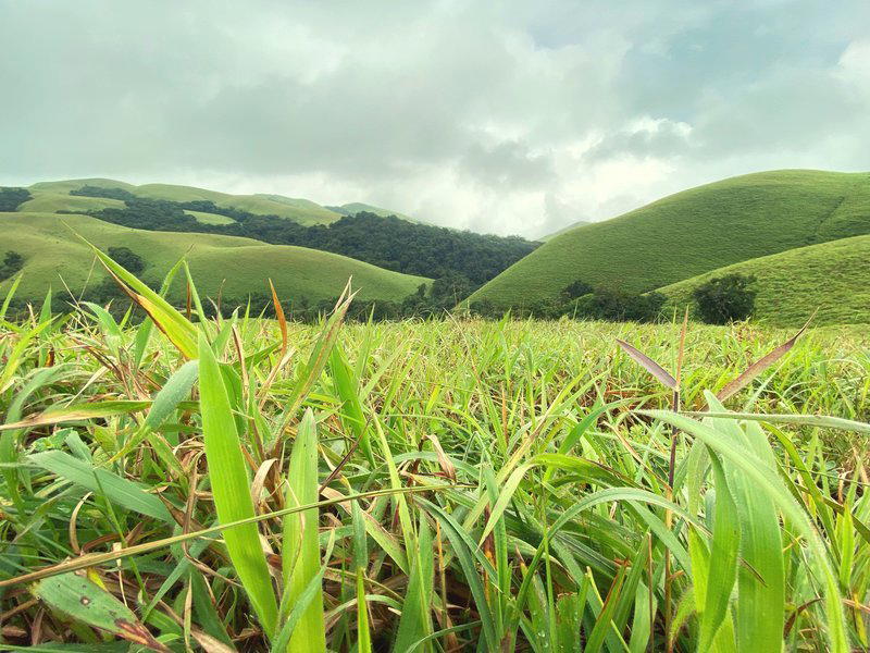 Bandaje Falls Trek - Tour