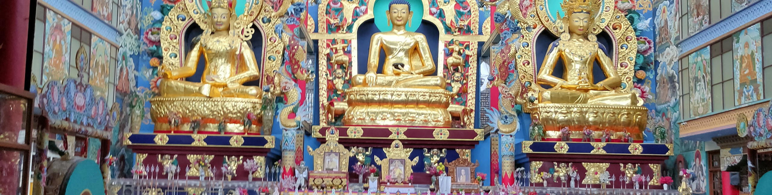 Backpacking Trip to Coorg - Tour