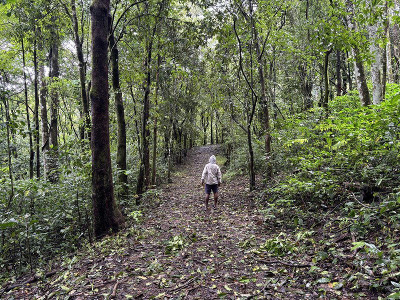 Backpacking Trip to Unexplored Chikkamagaluru - Tour