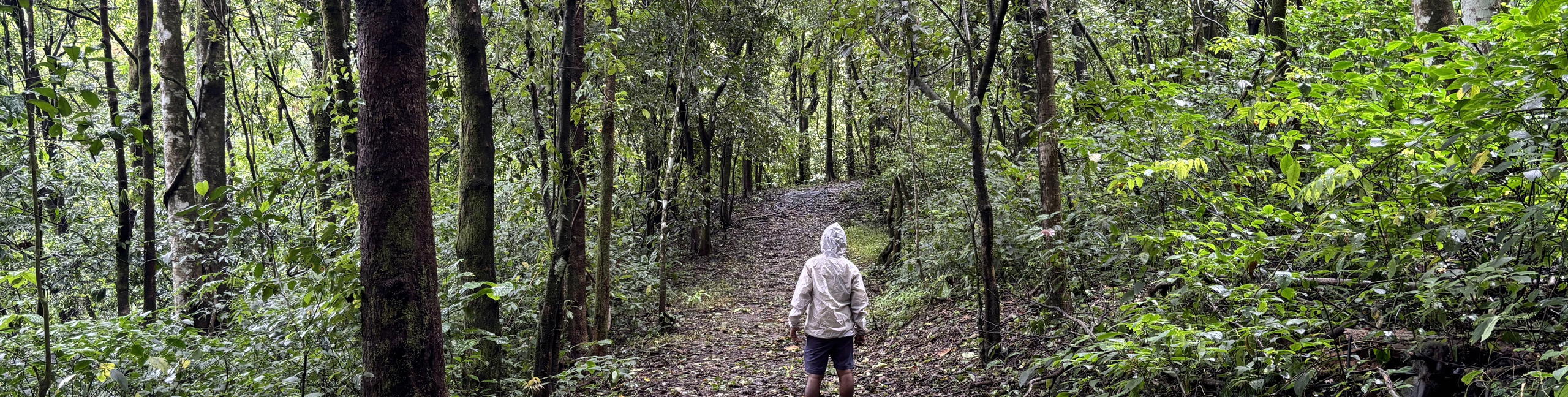 Backpacking Trip to Unexplored Chikkamagaluru - Tour