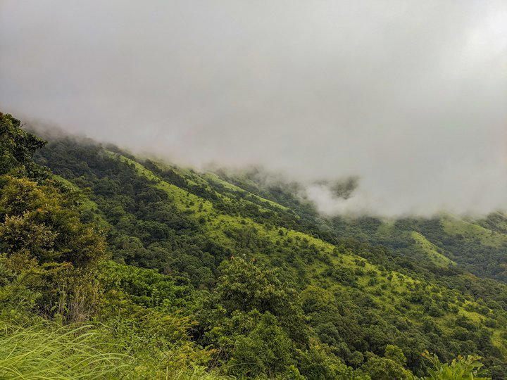 Brahmagiri Peak Trek, Kerala - Tour