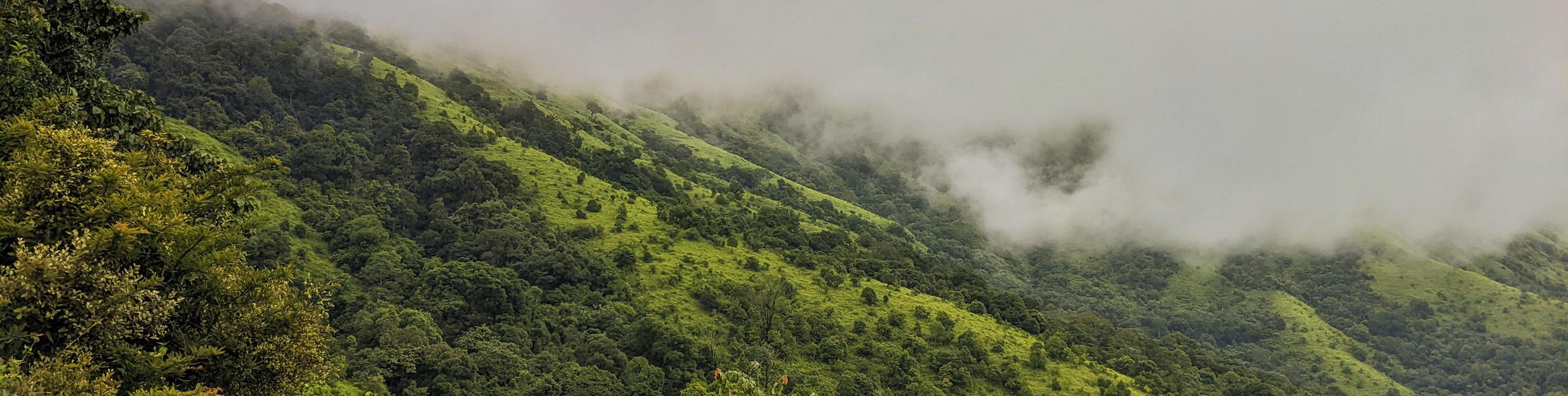 Brahmagiri Peak Trek, Kerala - Tour