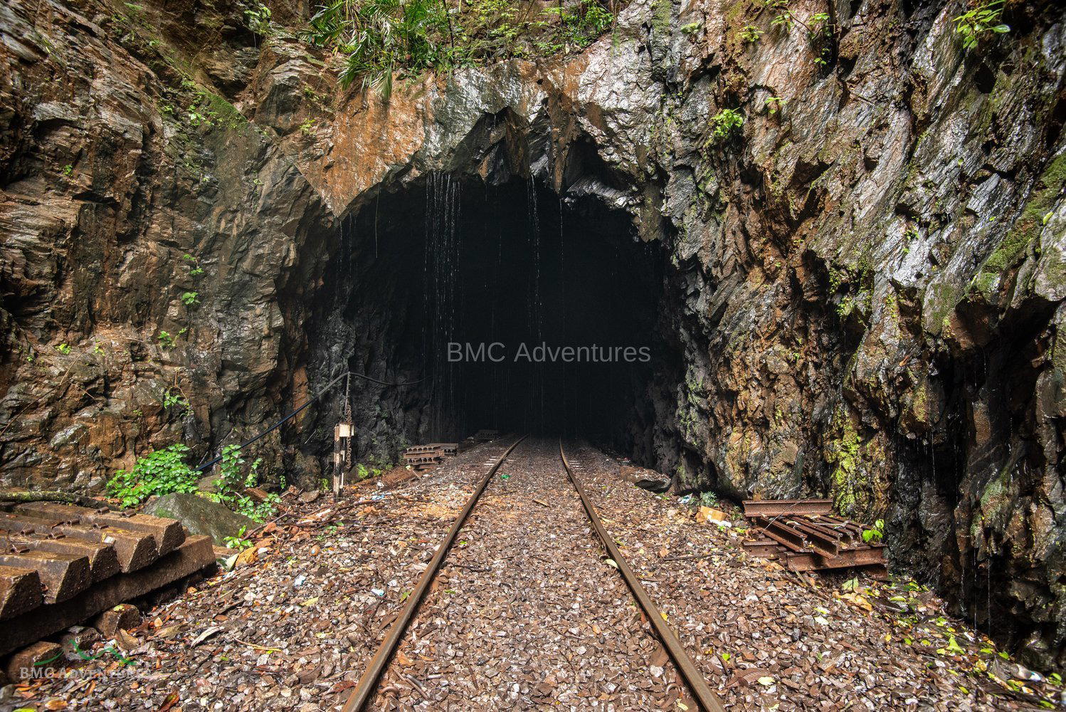 Dudhsagar Waterfalls Trek - Tour