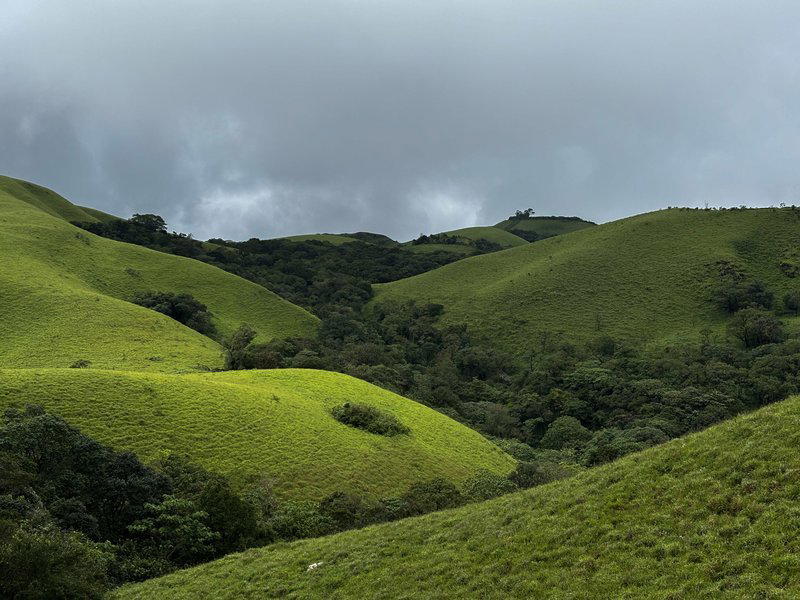 Karadikallu Trek, Chikmagalur - Tour