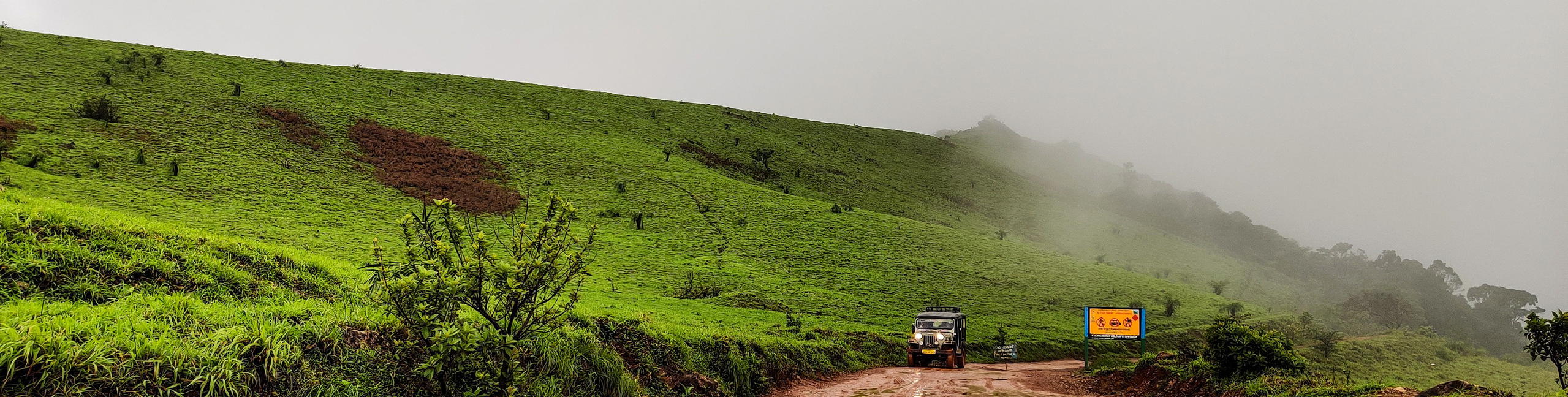Kodachadri Trek - Tour