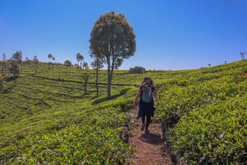 Kotagiri Trek, Ooty - Tour