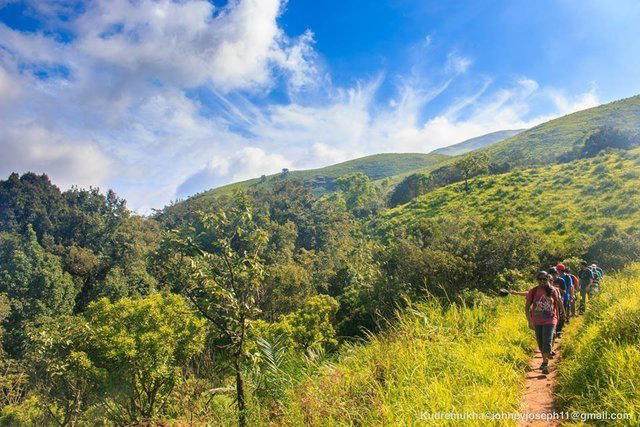 Corporate Outings - Collection