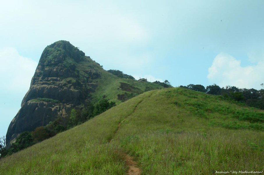 Kurinjal Gudda Trek - Tour