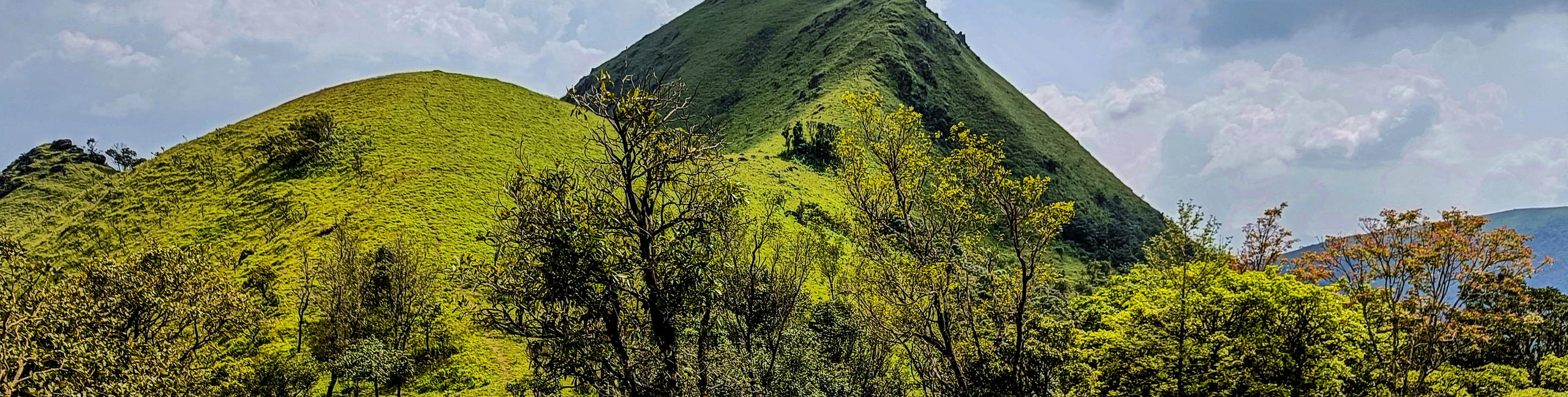 Merthi Gudda Trek, Chikmagalur - Tour