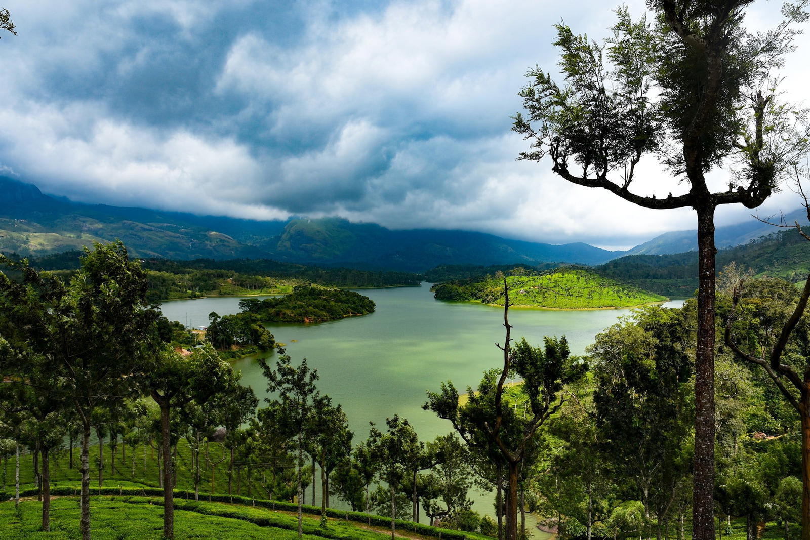 Monsoon in Munnar - Tour