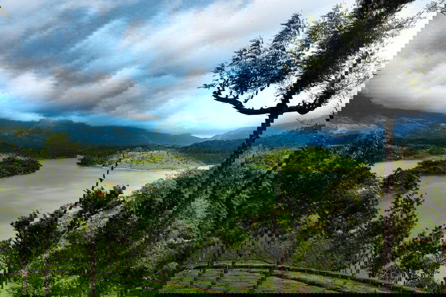 Monsoon in Munnar - Tour