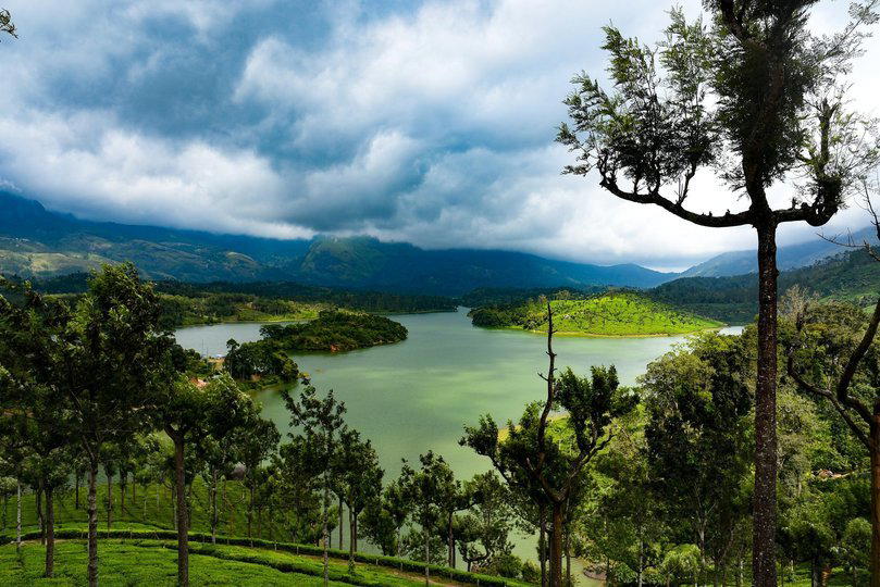 Monsoon in Munnar - Tour