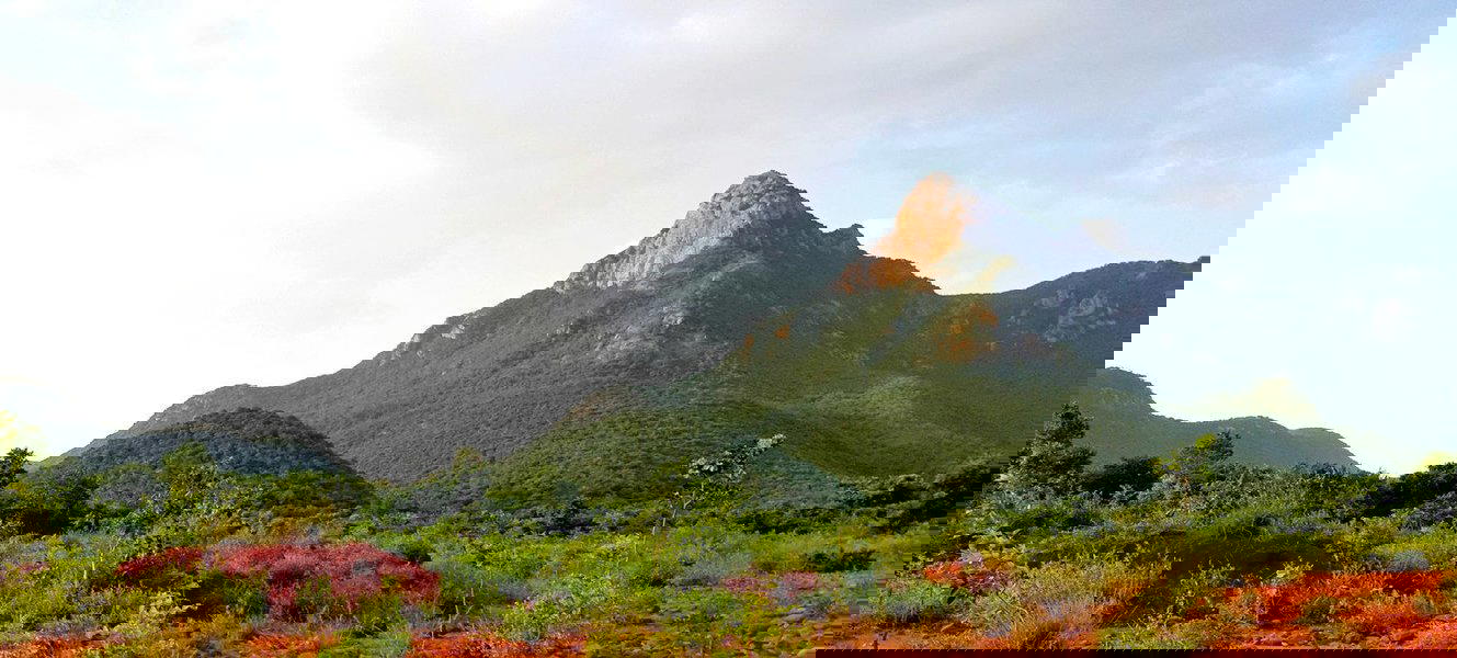 Camping at Nagalapuram, Eastern Ghat ( AP ) - Tour