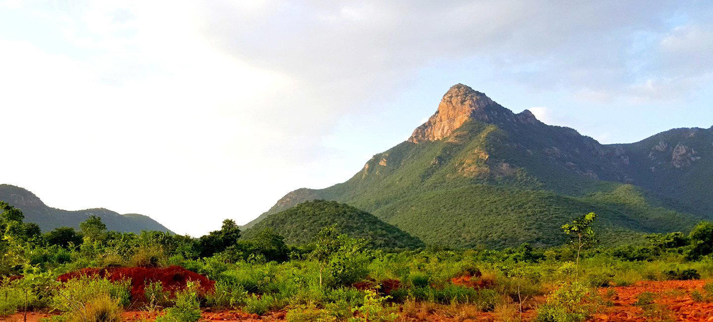 Camping at Nagalapuram, Eastern Ghat ( AP ) - Tour