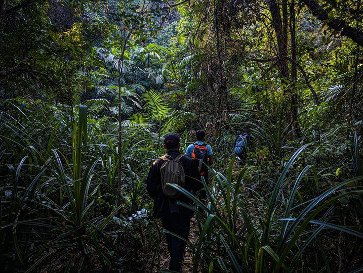 Narasimha Parvatha Trek, Agumbe - Tour