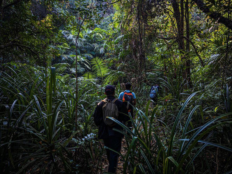 Narasimha Parvatha Trek, Agumbe - Tour