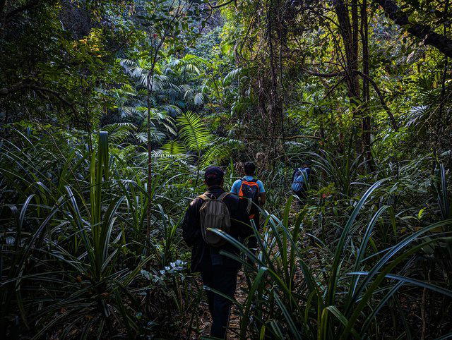 Two Day Treks - Collection