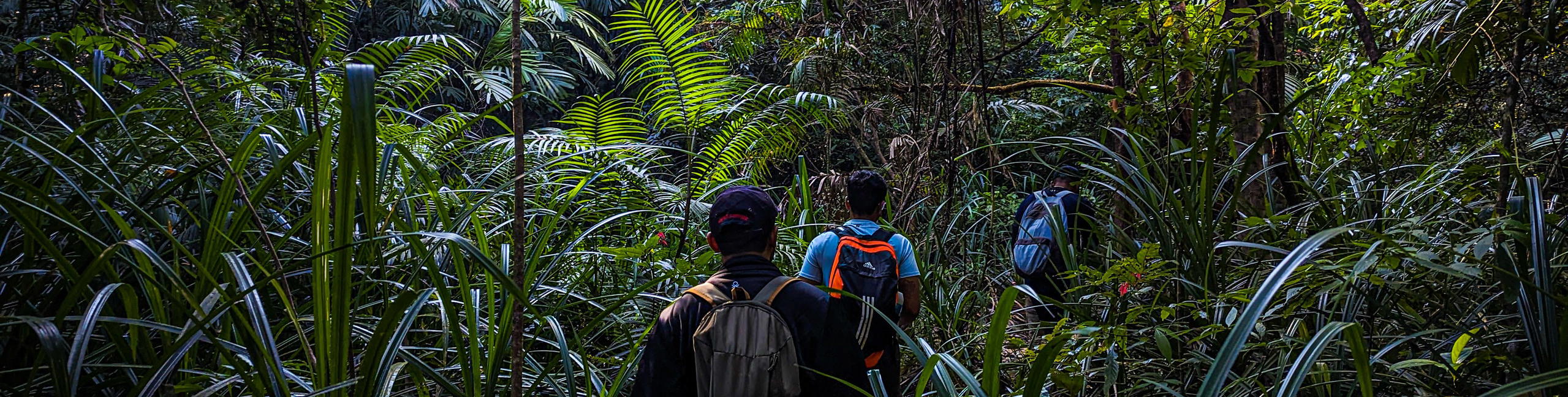 Narasimha Parvatha Trek, Agumbe - Tour