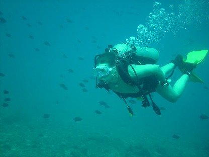 Scuba Diving at Netrani Island with Murudeshwar Sightseeing - Tour