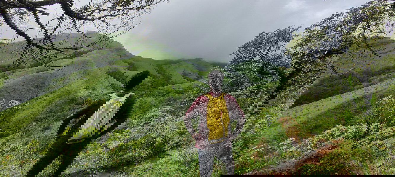 Netravati Peak Trek, Chikmagalur - Special Batch - Tour