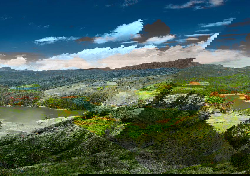 Ooty Backpacking Trip from Bangalore - Tour