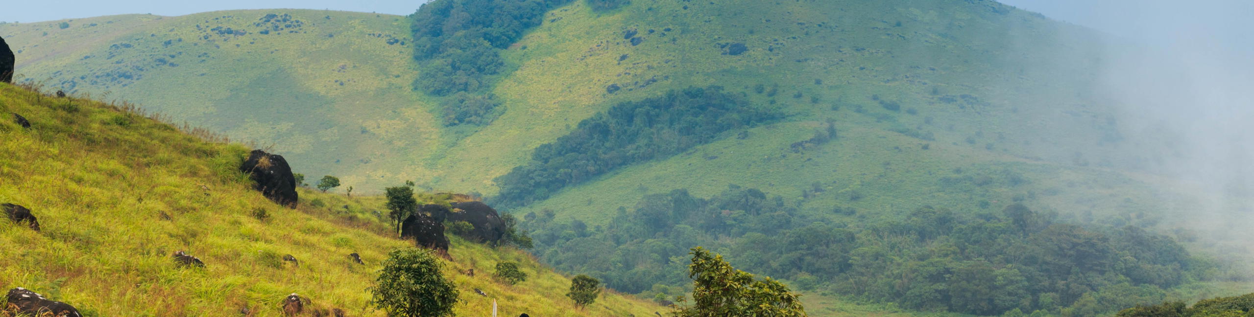 Tadiandamol Trek - Tour