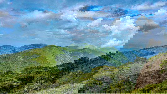 Tadiandamol Trek, Coorg