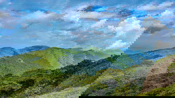 Tadiandamol Trek, Coorg - Tour