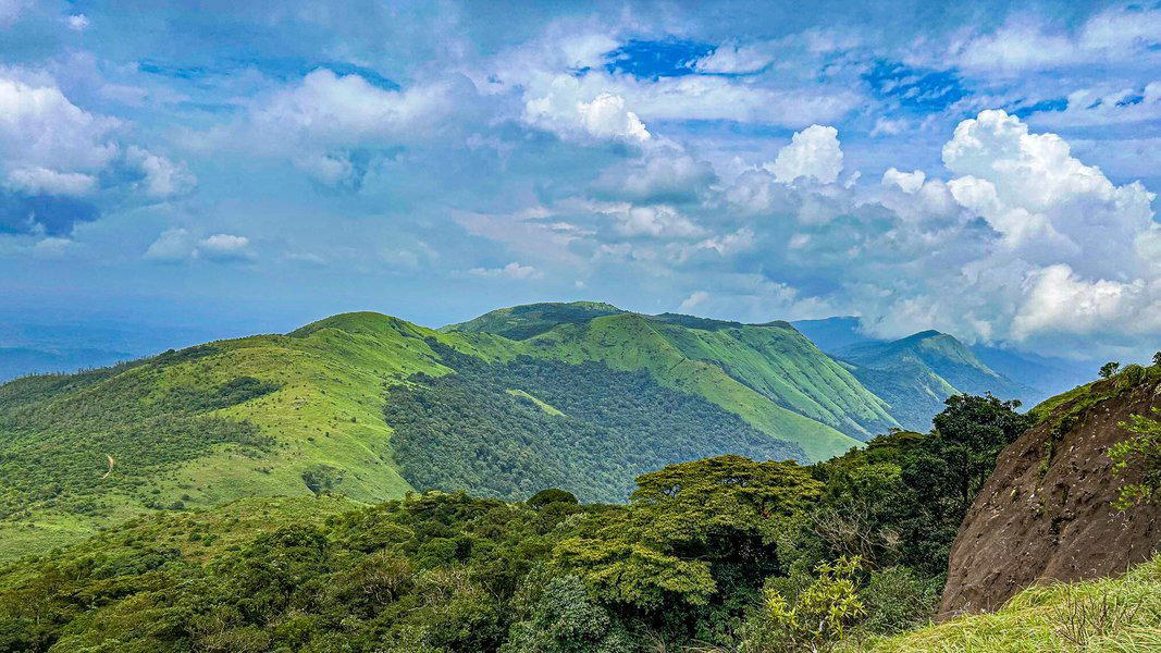 Tadiandamol Trek, Coorg - Tour