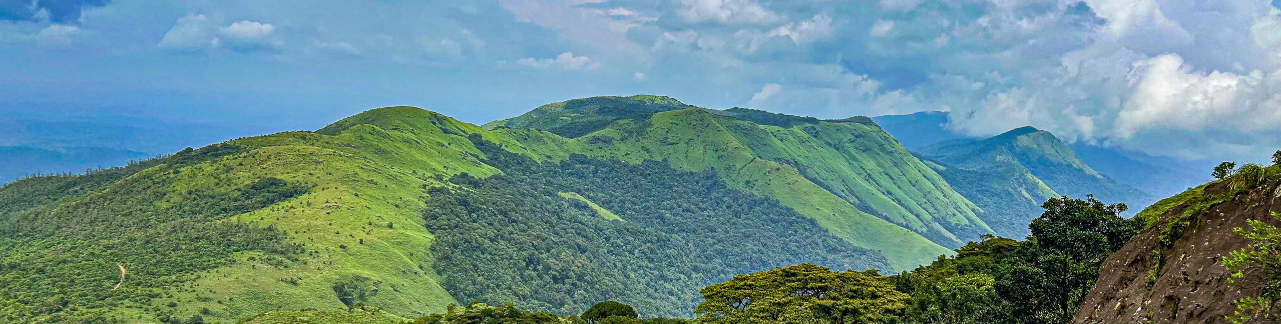 Tadiandamol Trek, Coorg - Tour