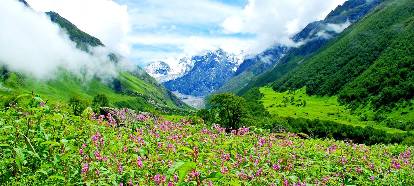 Valley of Flowers Trek, Himalayas - 2022 - Tour