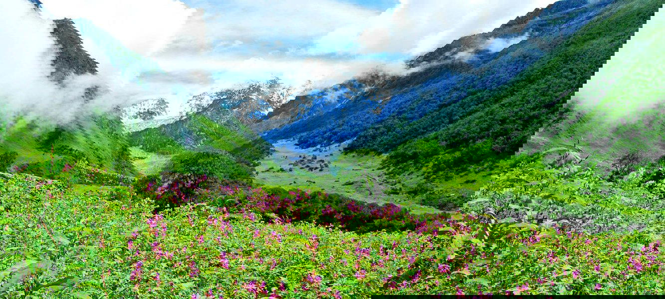 Valley of Flowers Trek, Himalayas - 2022 - Tour