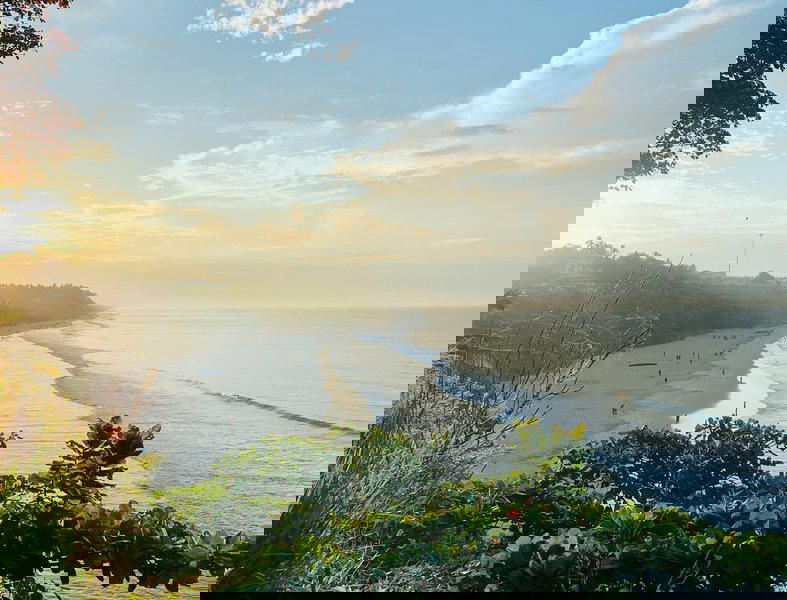 Cochin, Alleppey & Varkala - Tour