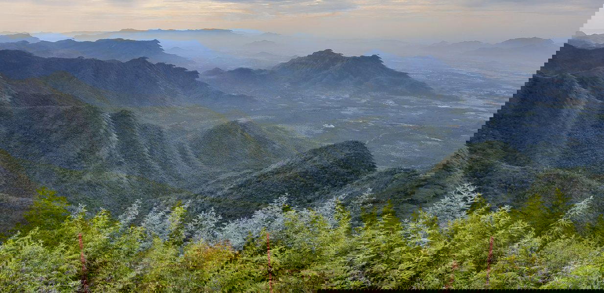 Trek to Canopy Hills, Vattakanal - Kodaikanal - Tour