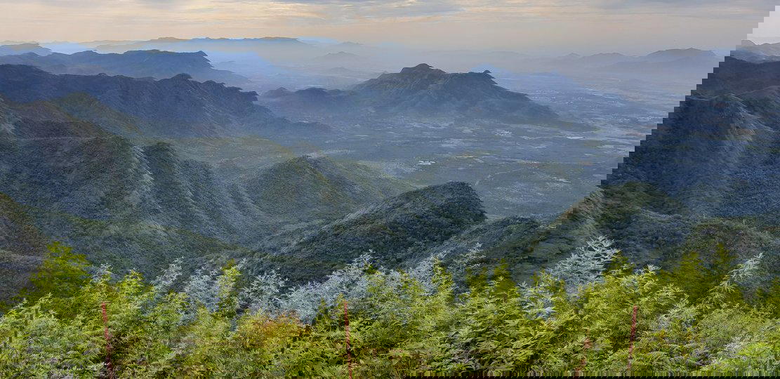 Trek to Canopy Hills, Vattakanal - Kodaikanal - Tour