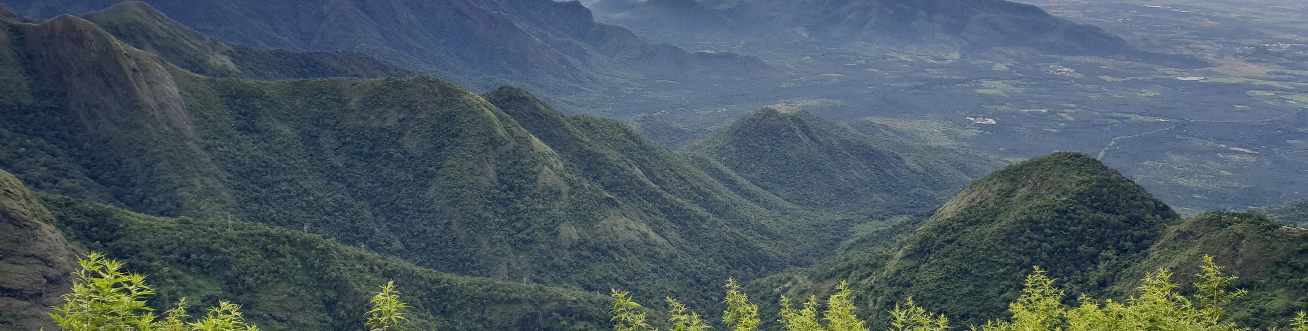 Trek to Canopy Hills, Vattakanal - Kodaikanal - Tour